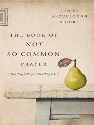 cover image of The Book of Not So Common Prayer